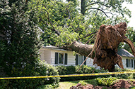Greer Insurance - Photo 3